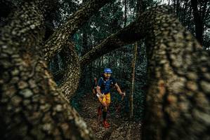 BIB: 
                            <button type="button" onclick="openModal(25672971)" class="btn btn-primary btn-sm float-right btn-popup" data-toggle="modal" data-target=".modal-high-quality">
                        <i class="fas fa-shopping-cart"></i> Add to Cart
                    </button>
                                            <button type="button" onclick="isThisMe(25672971, true)" class="btn btn-success btn-sm float-right btn-popup btn-isme hidden" data-toggle="tooltip" data-placement="bottom" title="นี่คือรูปของคุณใช่ไหม คลิกที่นี่เพื่อเอาเข้าอัลบั้ม">
                        <i class="fas fa-plus"></i> Add to album
                    </button>
                    <button type="button" onclick="isThisMe(25672971, false)" class="btn btn-warning btn-sm float-right btn-popup btn-isnotme hidden">
                        <i class="fas fa-ban"></i> Remove from album
                    </button>